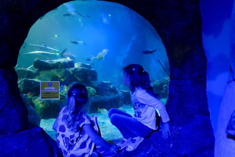 Sea Life Centre