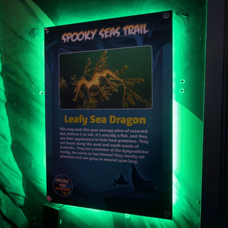 Spooky Seas Trail at Sea Life Birmingham