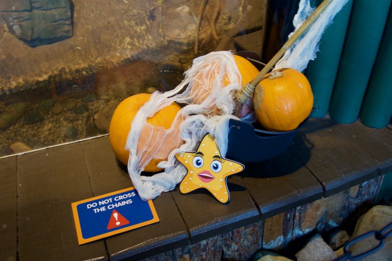 Spooky Seas at Sea Life Birmingham