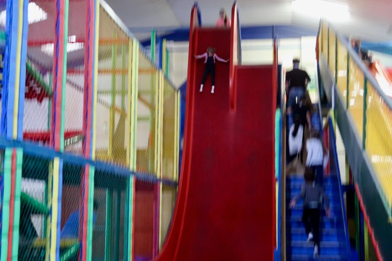 National Forest Adventure Farm - Drop Slide