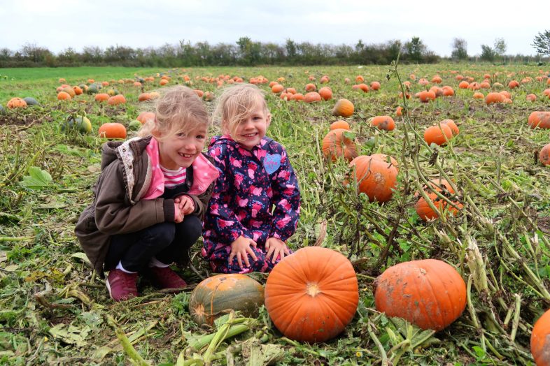 National Forest Adventure Farm - In the pumpkin patch