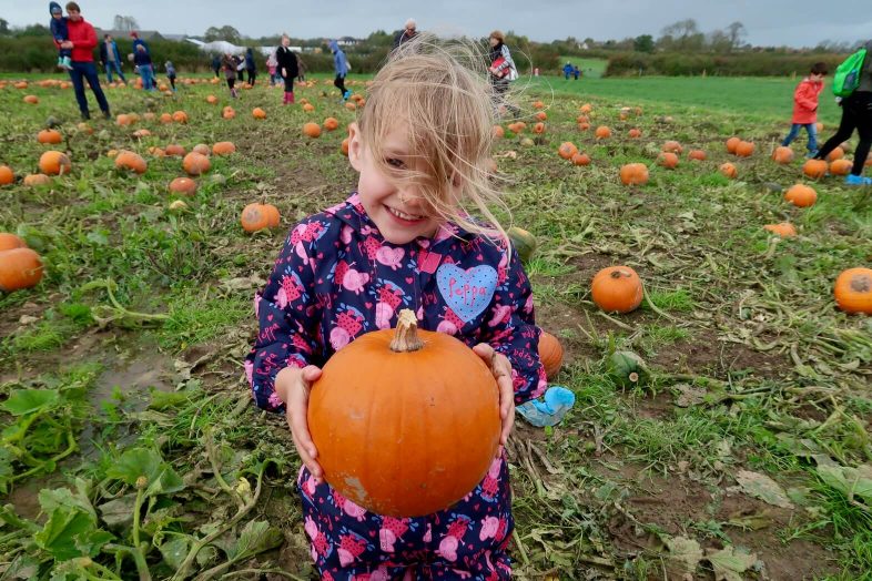 National Forest Adventure Farm - Lydia and her pumpkin