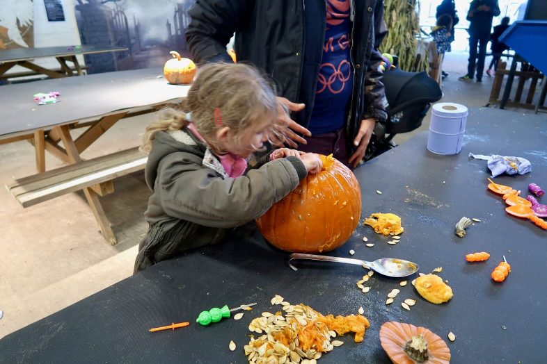National Forest Adventure Farm - Pumpkin Carving