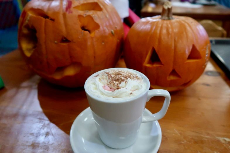 National Forest Adventure Farm - pumpkins and hot chocolate