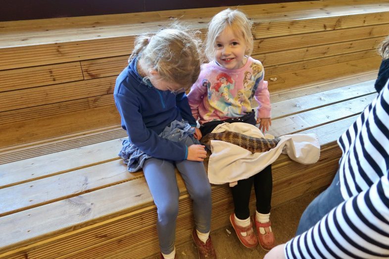 Scales and Tails - Pumpkin Week at Hatton