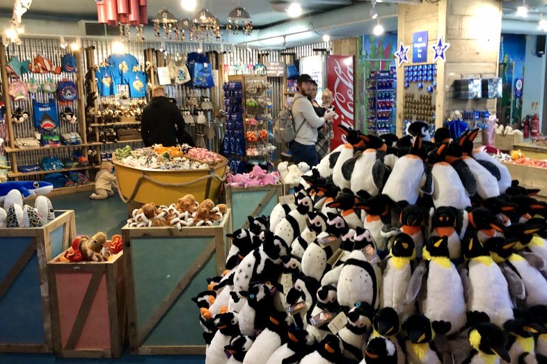 One way shop layout at Sea Life Birmingham