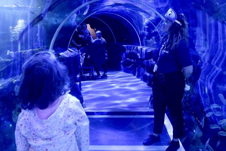 Staff in PPE at Sea Life Birmingham