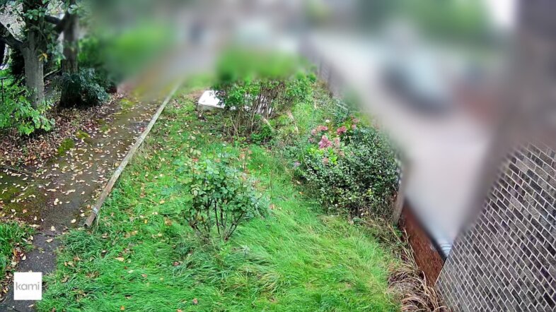 Daytime view from the wired camera (blurred for our & our neighbours' privacy)