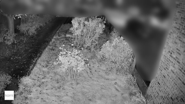 Full night vision (blurred for our & our neighbours' privacy)