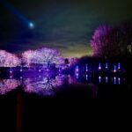An immersive art experience at Light Cycles IMG_3537